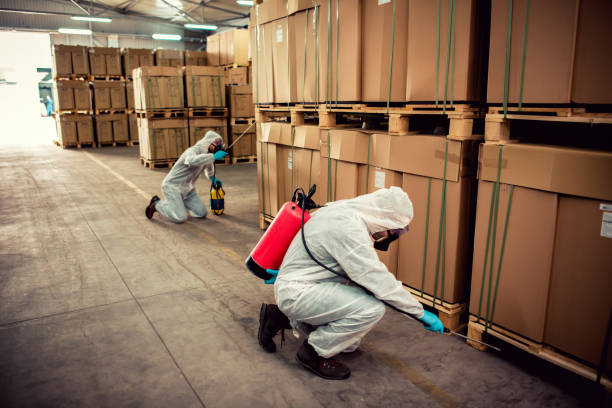 Best Mosquito Control Services  in Auburndale, FL