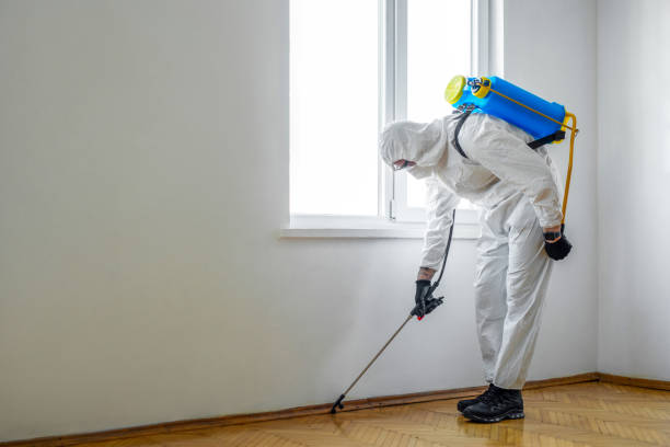 Best Pest Control Near Me  in Auburndale, FL