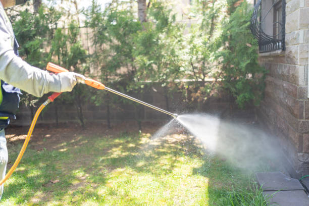 Best Affordable Pest Control Services  in Auburndale, FL