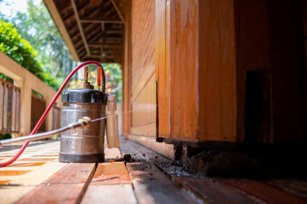 Best Pest Removal Services  in Auburndale, FL