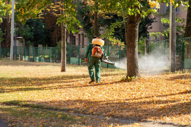 Best Flea Control Services  in Auburndale, FL