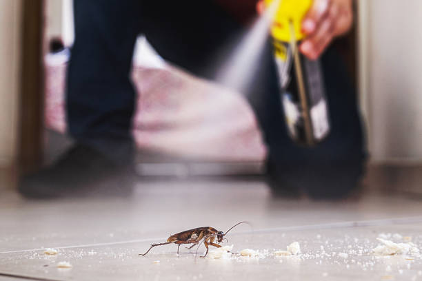  Auburndale, FL Pest Control Pros